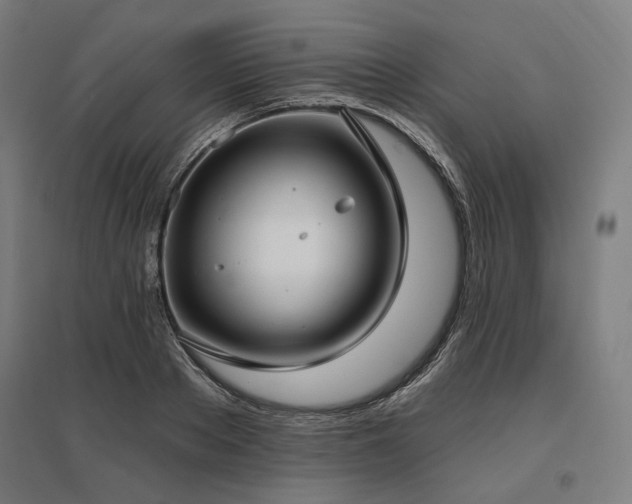 X0000096150889200801181200