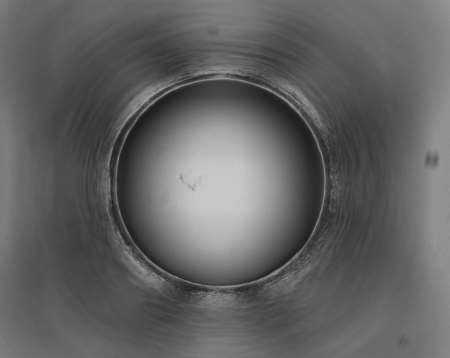 X0000096150890200801181200