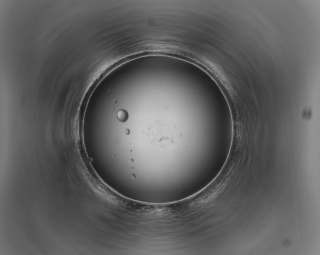 X0000096150891200801181200