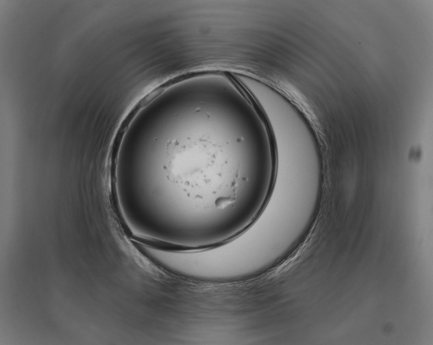X0000096150892200801181200