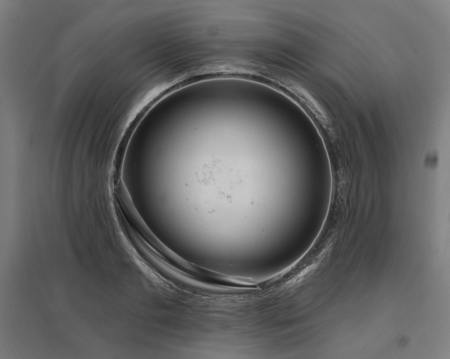 X0000096150893200801181200