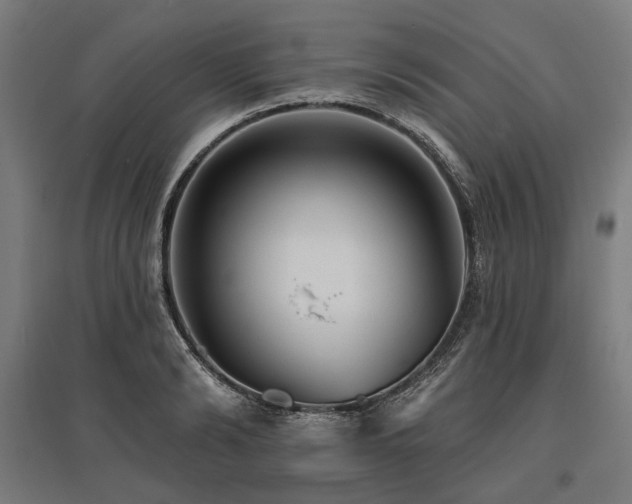 X0000096150894200801181200