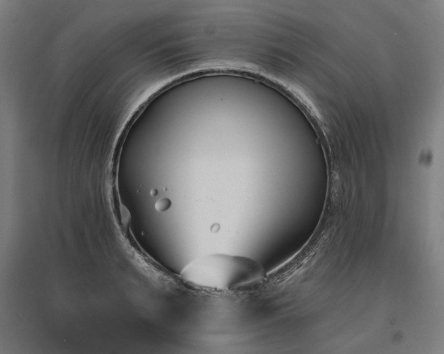 X0000096150895200801181200