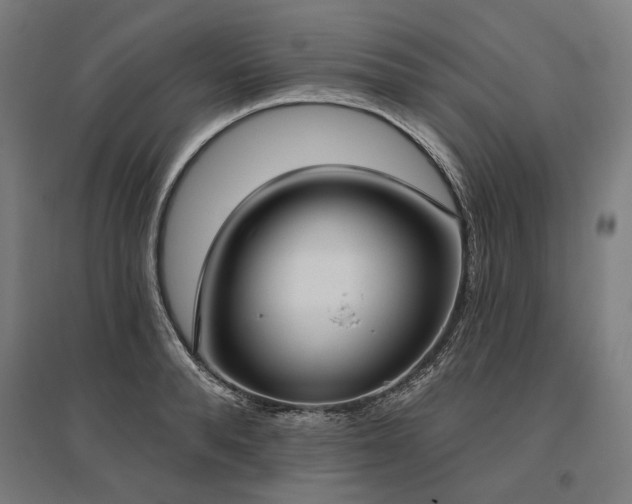 X0000096150896200801181200