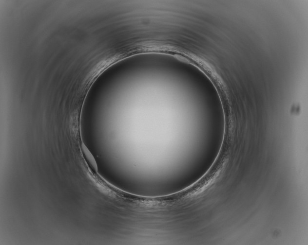 X0000096150897200801181200