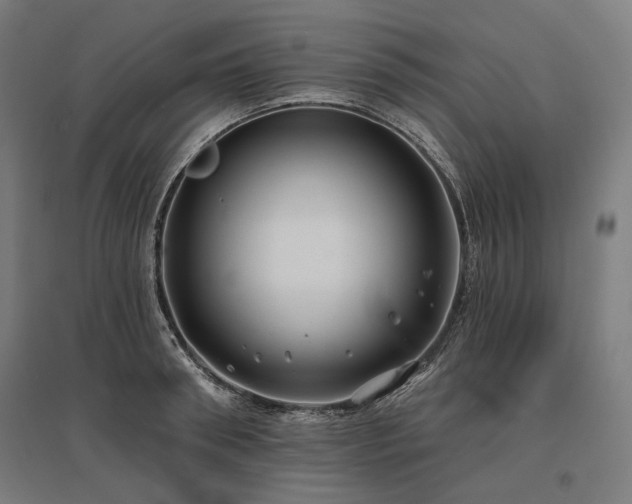 X0000096150898200801181200
