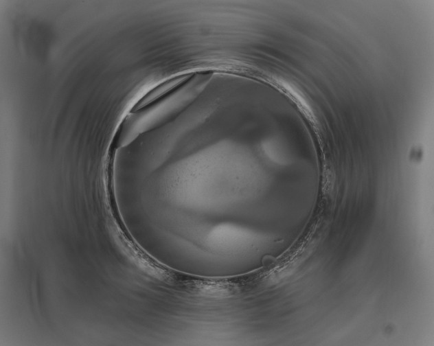 X0000096150899200801181200
