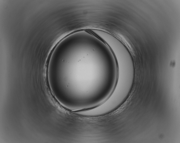 X0000096150900200801181200