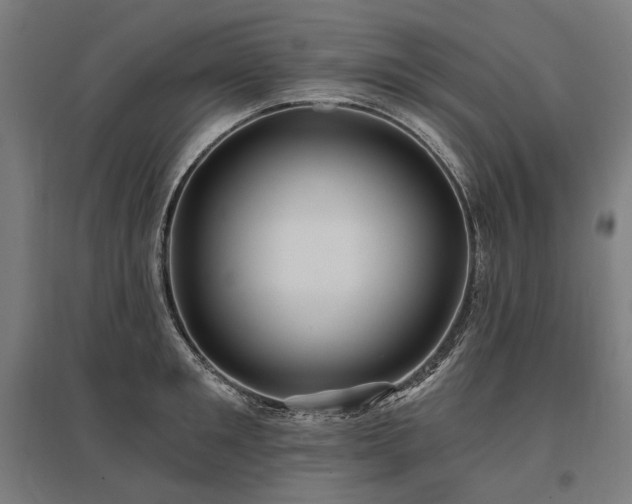 X0000096150901200801181200