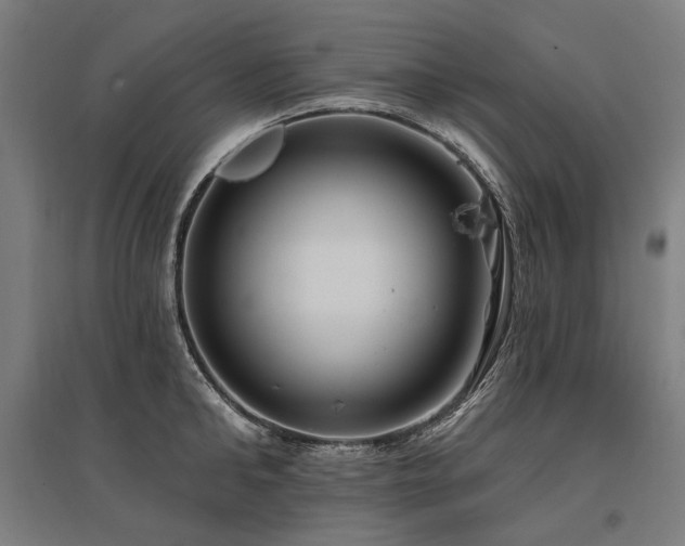 X0000096150902200801181200