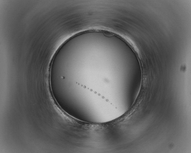 X0000096150903200801181200