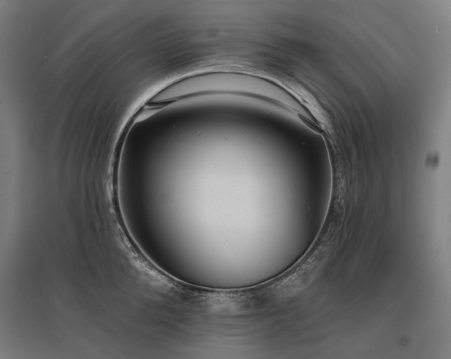 X0000096150904200801181200