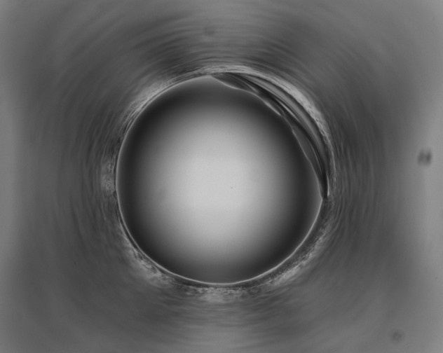 X0000096150905200801181200
