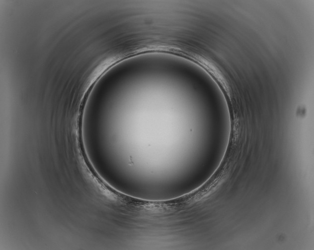 X0000096150906200801181200