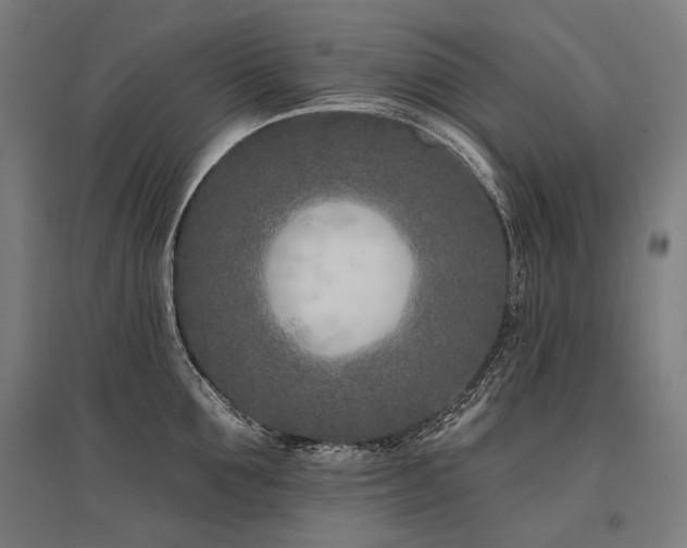 X0000096150907200801181200