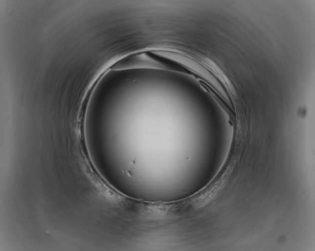 X0000096150908200801181159