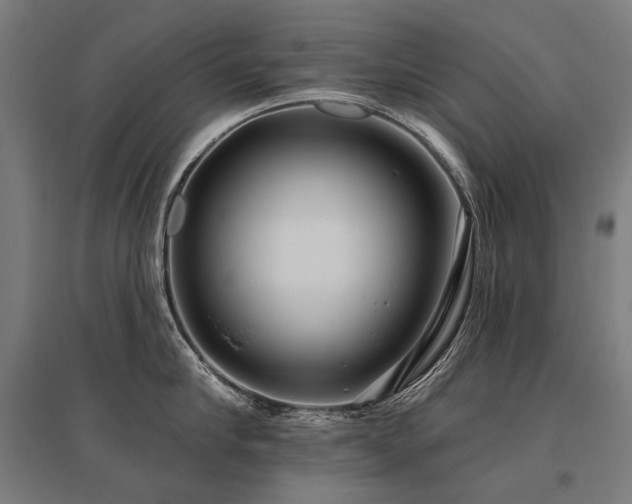 X0000096150910200801181159