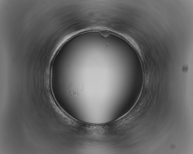 X0000096150911200801181159