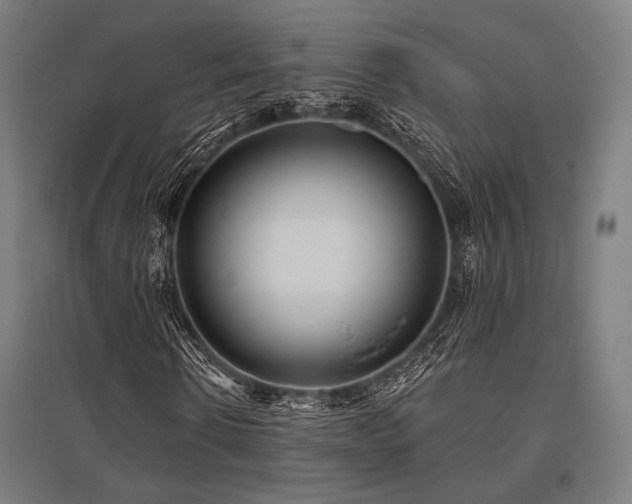 X0000096150914200801181159
