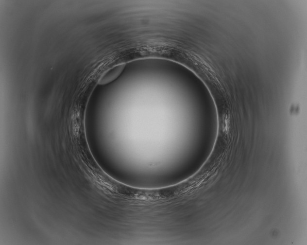 X0000096150915200801181159