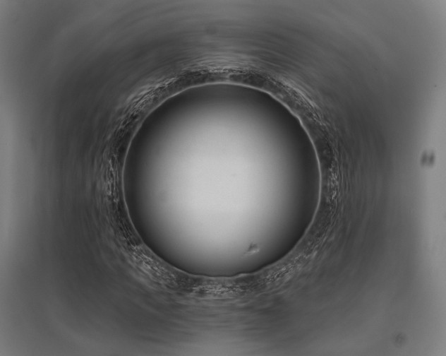 X0000096150917200801181159