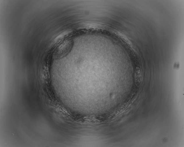 X0000096150918200801181159