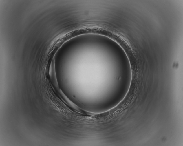 X0000096150920200801181159