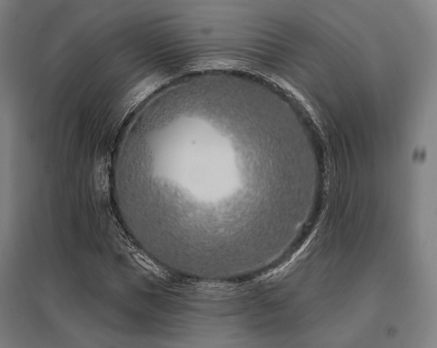 X0000096150921200801181159