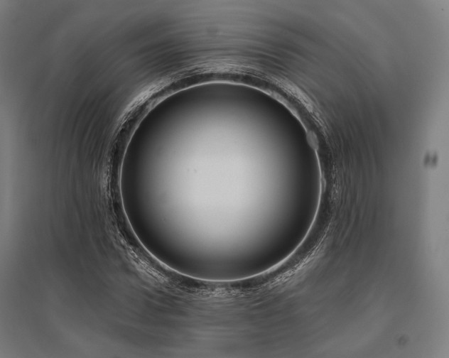X0000096150922200801181159