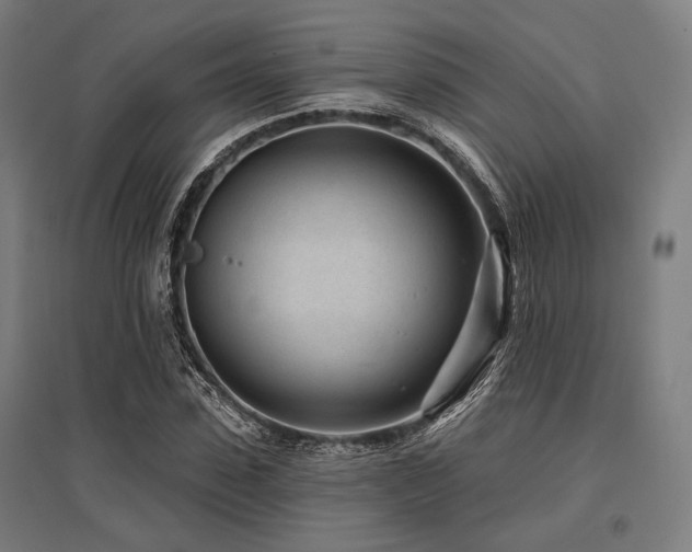 X0000096150923200801181159