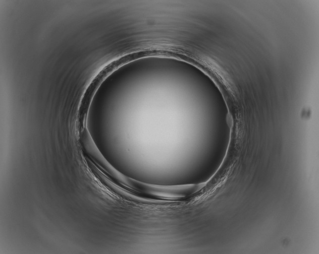 X0000096150924200801181159