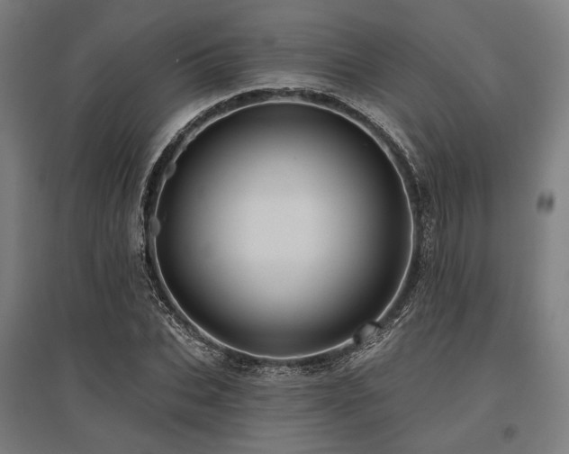 X0000096150927200801181159