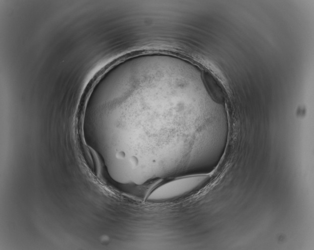 X0000096150928200801181159