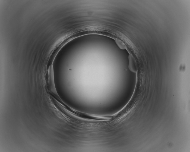 X0000096150930200801181159