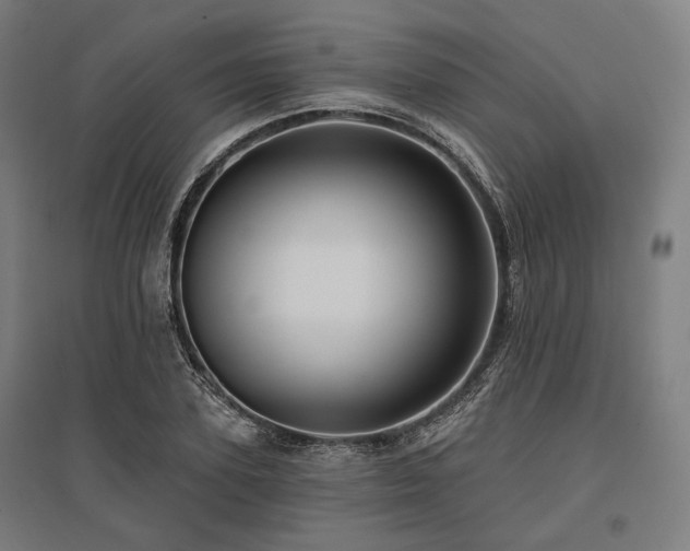 X0000096150931200801181159