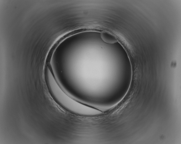 X0000096150932200801181159