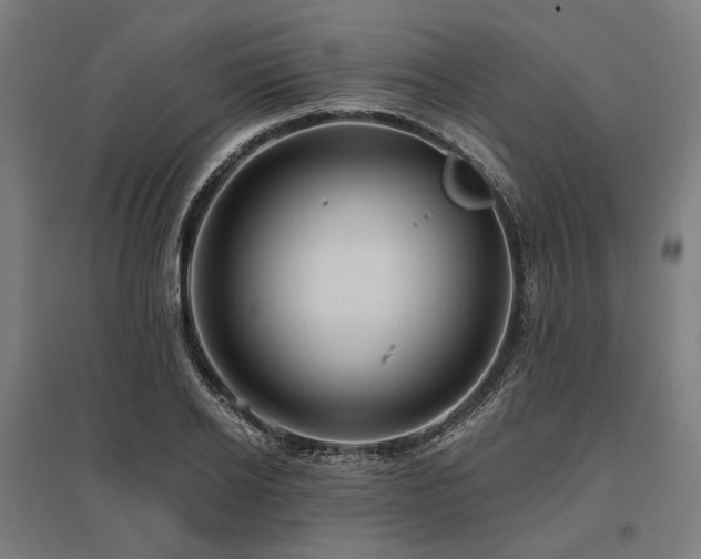 X0000096150934200801181159