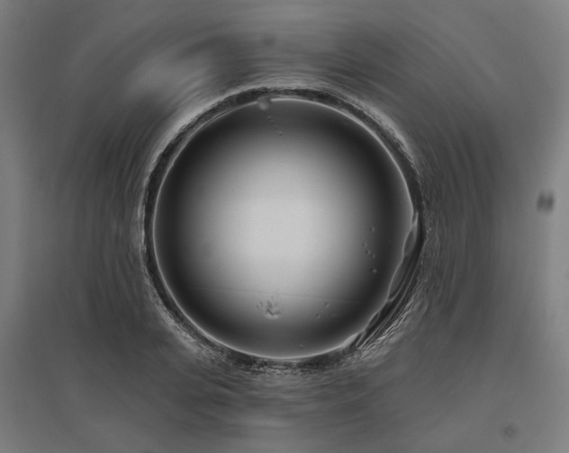 X0000096150935200801181159