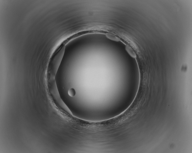 X0000096150936200801181159