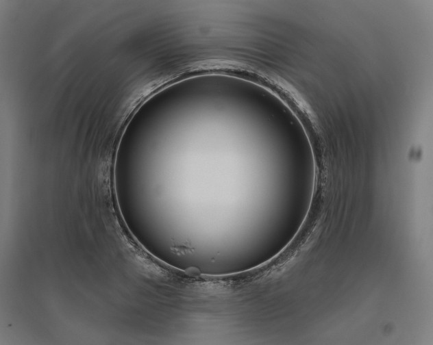 X0000096150937200801181159