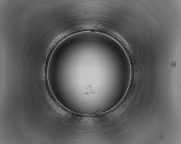 X0000096150938200801181159