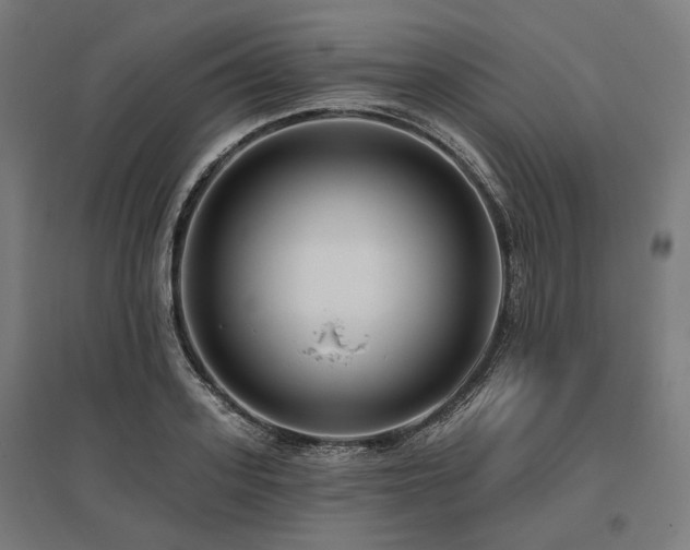 X0000096150939200801181159