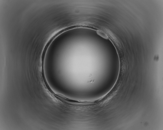 X0000096150940200801181159