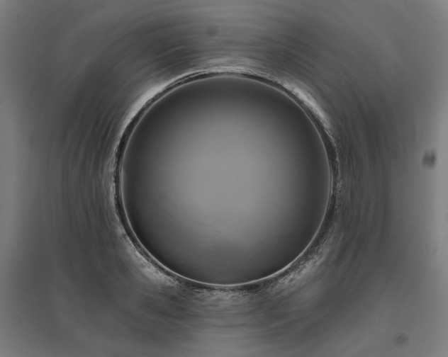 X0000096150941200801181159