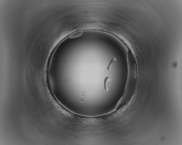 X0000096150949200801181159