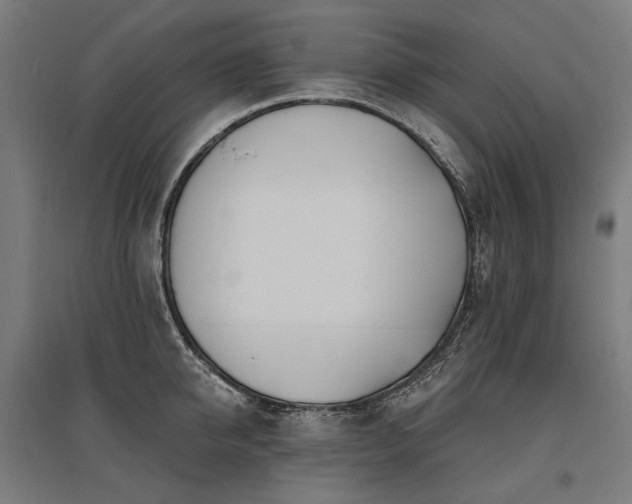 X0000096150950200801181159