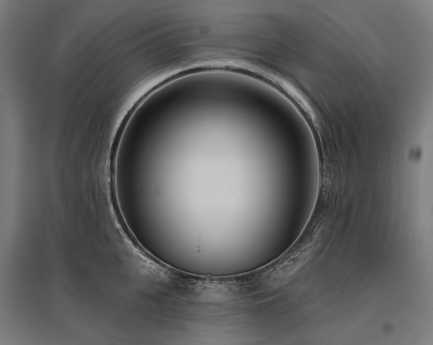 X0000096150951200801181159