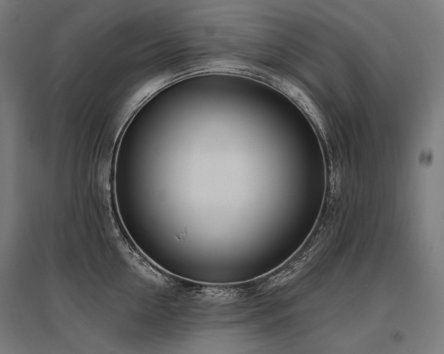X0000096150954200801181159
