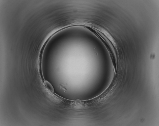 X0000096150955200801181159