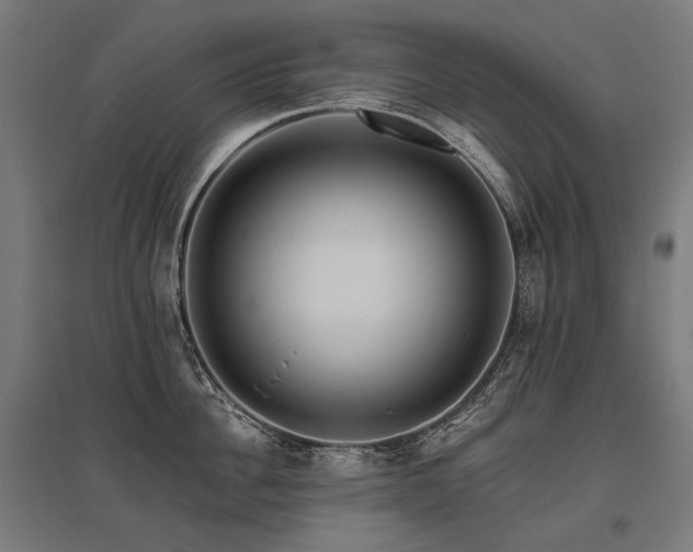X0000096150956200801181159
